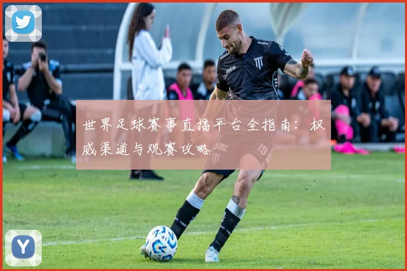 世界足球赛事直播平台全指南：权威渠道与观赛攻略